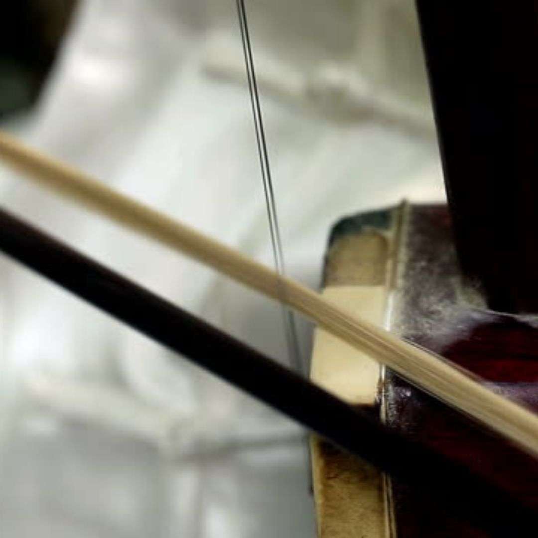 Close up of a violin with a bow on it, and the strings of the instrument are visible, Hire Er Hu Player in Singapore Close up of a violin with a bow on it, and the strings of the instrument are visible, Hire Er Hu Player in Singapore