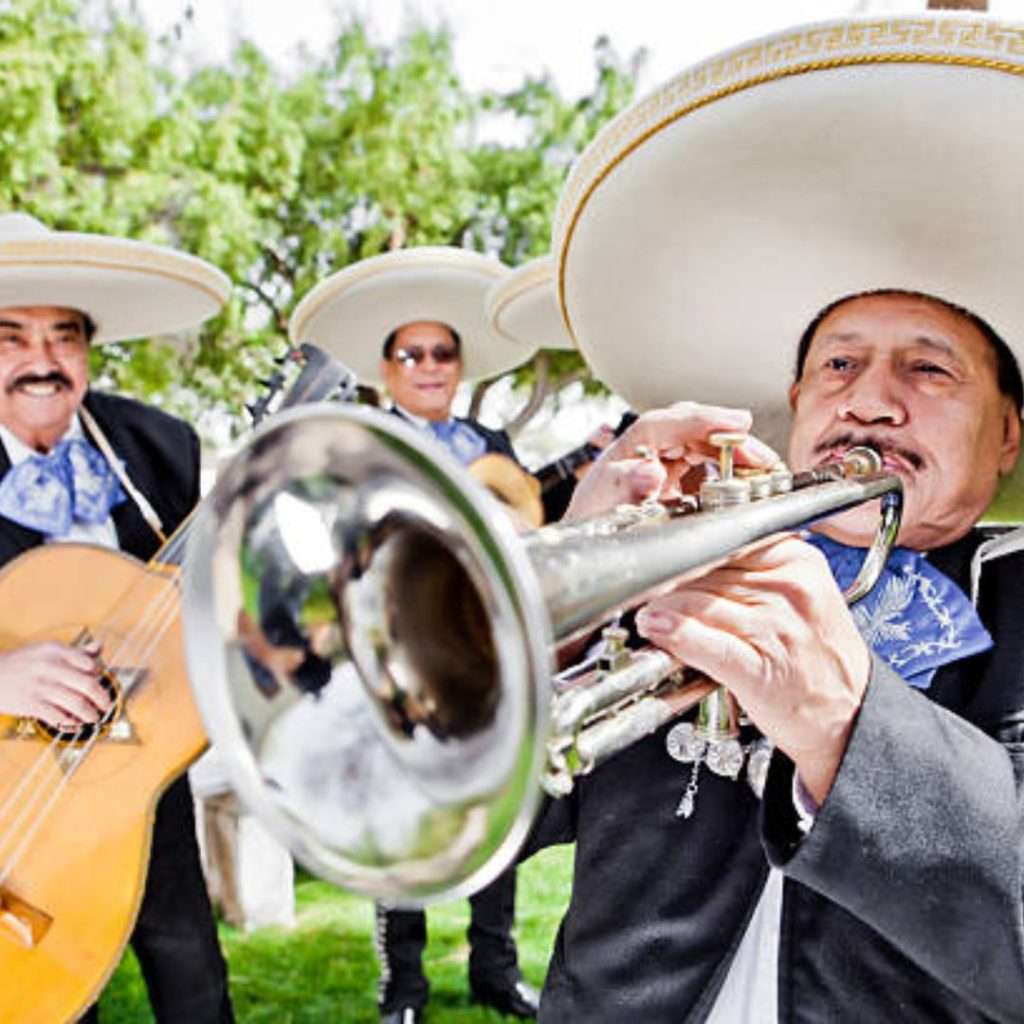 Latin bands, Musicians