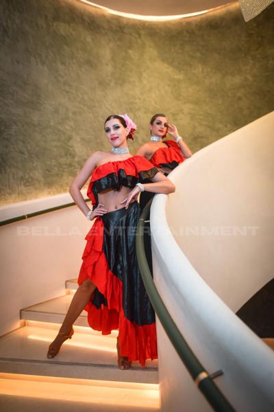 Flamenco Dancer for Hire photo 4